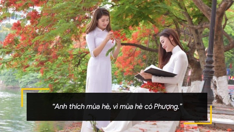 Anh thích mùa hè, vì mùa hè có Phượng. Anh thích mùa hè, vì mùa hè có Phượng.