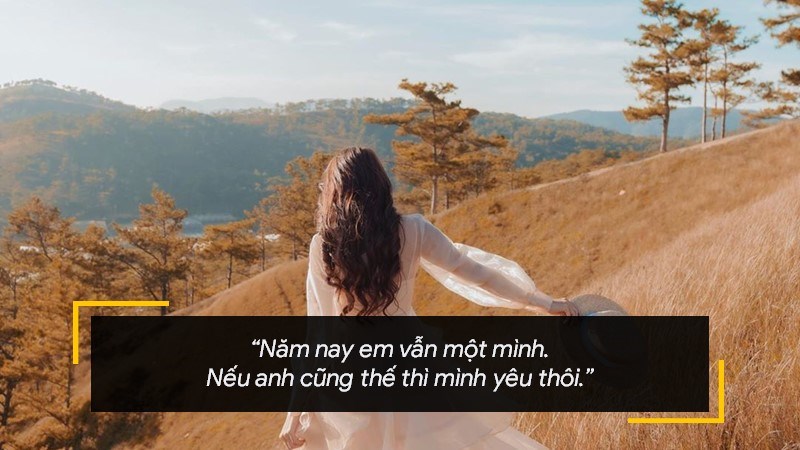 Năm nay em vẫn một mình. Nếu anh cũng thế thì mình yêu thôi. Năm nay em vẫn một mình. Nếu anh cũng thế thì mình yêu thôi.
