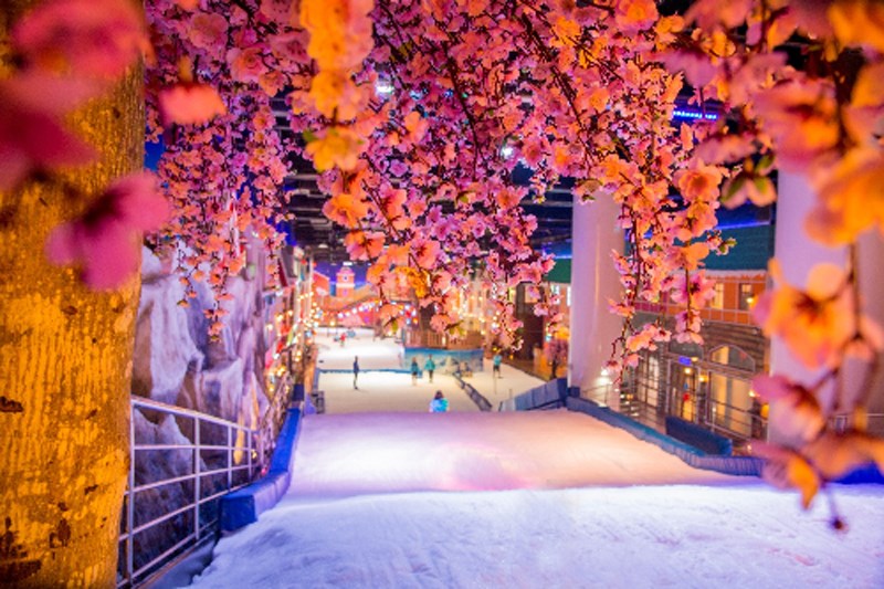 Toàn bộ cảnh quan của Snow Town ngập tràn hơi thở của Tết Toàn bộ cảnh quan của Snow Town ngập tràn hơi thở của Tết