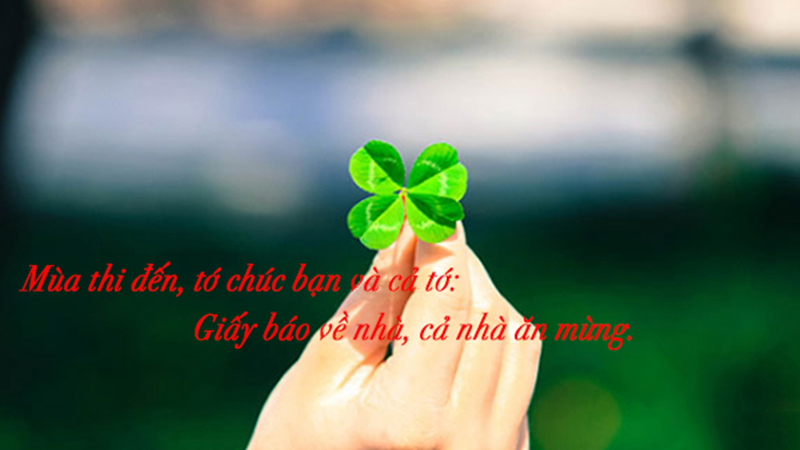 STT Chúc thi tốt STT Chúc thi tốt