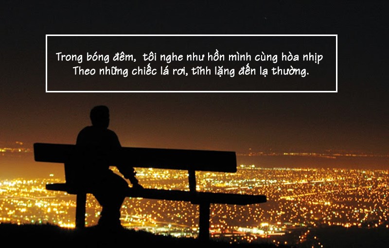Tôi nghe như hồn mình cùng hòa nhịp theo những chiếc lá rơi Tôi nghe như hồn mình cùng hòa nhịp theo những chiếc lá rơi