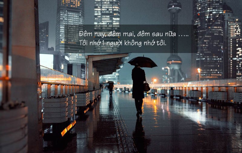 s Nhớ người không nhớ ta