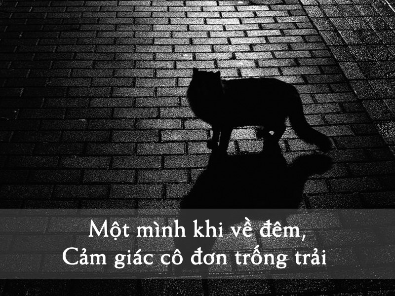 Cảm giác khi đêm về Cảm giác khi đêm về
