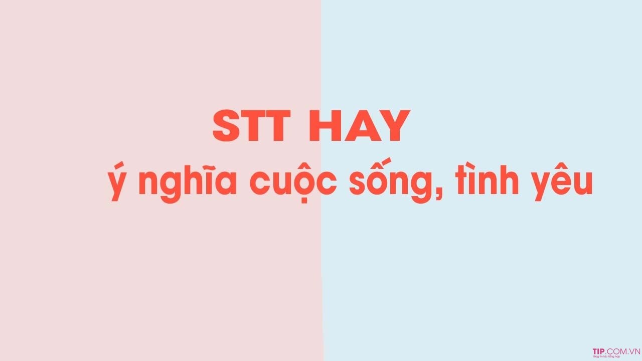 stt-hay-1 Stt hay nhất ngắn gọn về cuộc sống, tình yêu ý nghĩa sâu sắc nhất