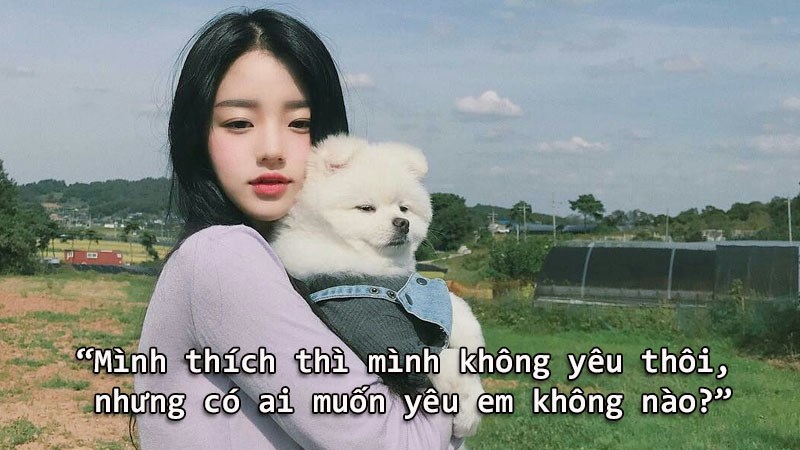 Mình thích thì mình không yêu thôi, nhưng có ai muốn yêu em không nào? Mình thích thì mình không yêu thôi, nhưng có ai muốn yêu em không nào?