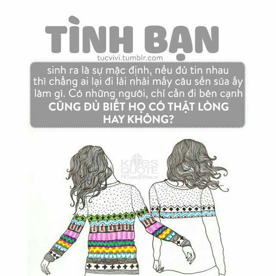 Stt tình bạn chân thành