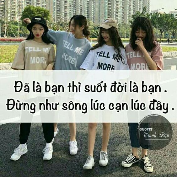 Stt tình bạn chân thành