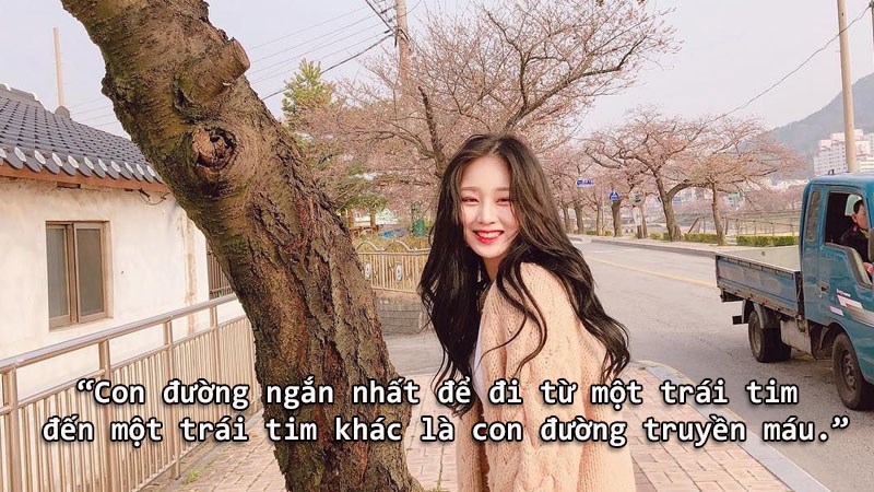 Con đường ngắn nhất để đi từ một trái tim đến một trái tim khác là con đường truyền máu. Con đường ngắn nhất để đi từ một trái tim đến một trái tim khác là con đường truyền máu.