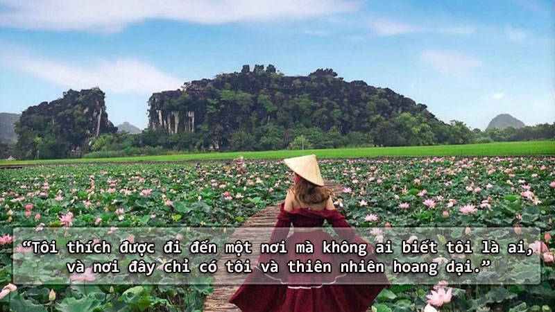 Tôi thích được đi đến một nơi mà không ai biết tôi là ai, và nơi đây chỉ có tôi và thiên nhiên hoang dại. Tôi thích được đi đến một nơi mà không ai biết tôi là ai, và nơi đây chỉ có tôi và thiên nhiên hoang dại.