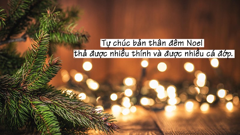 Stt Noel thả thính cho dân FA Stt Noel thả thính cho dân FA