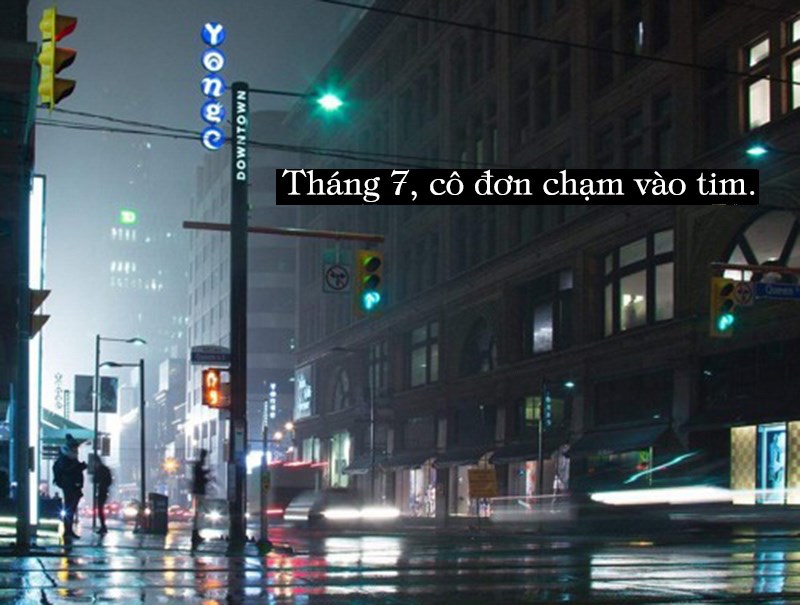Tháng 7, cô đơn chạm vào tim. Tháng 7, cô đơn chạm vào tim.