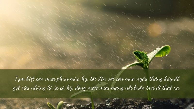Tạm biệt cơn mưa phùn mùa hạ, tôi đến với cơn mưa ngâu tháng bảy để gột rửa những kí ức cũ kỹ Tạm biệt cơn mưa phùn mùa hạ, tôi đến với cơn mưa ngâu tháng bảy để gột rửa những kí ức cũ kỹ