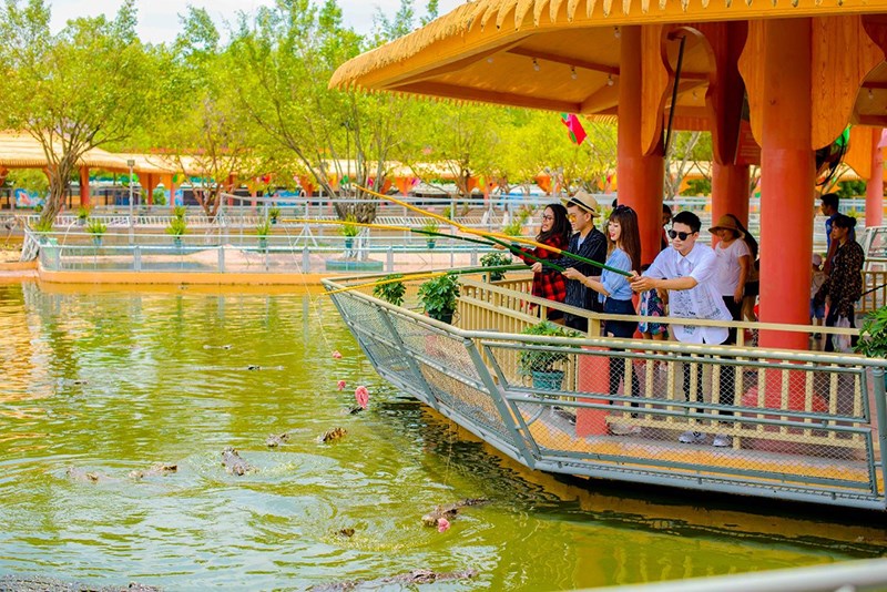 Thử cảm giác câu cá sấu tại Vương quốc cá sấu Thử cảm giác câu cá sấu tại Vương quốc cá sấu