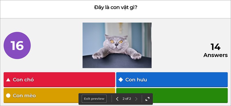 tao-bo-cau-hoi-trac-nghiem-tren-kahoot-15-800x366-1 Giao diện xem trước bài kiểm tra