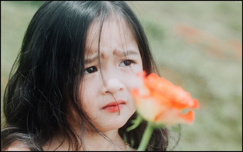Tên hay cho con gái - Hạ Tên hay cho con gái - Hạ
