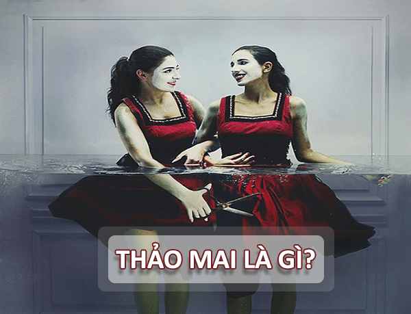 Thảo mai là gì? Ý nghĩa thực sự của từ thảo mãi nghĩa là gì?