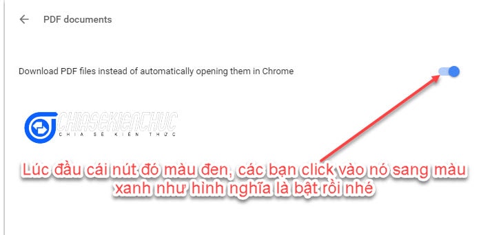 thiet-lap-google-chrome-tai-file-pdf-thay-vi-mo-truc-tiep (6)