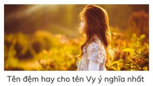 Tên đệm hay cho tên Vy ý nghĩa nhất | Ý nghĩa tên Vy
