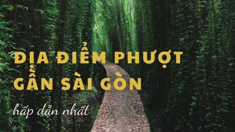 Top 12 địa điểm phượt gần Sài Gòn đi về trong ngày hấp dẫn nhất Top 12 địa điểm phượt gần Sài Gòn đi về trong ngày hấp dẫn nhất
