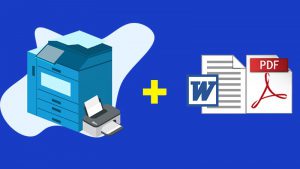 Cách in trang chẵn lẻ trong PDF, Word cực đơn giản, chi tiết nhất
