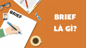 Brief là gì? Các thông tin phải có trong brief và phân loại brief
