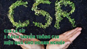 Các các truyền thông CSR hiệu quả cho doanh nghiệp