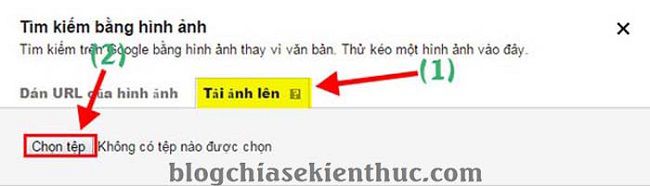 tim-kiem-hinh-anh-tuong-tu-tren-google (5)