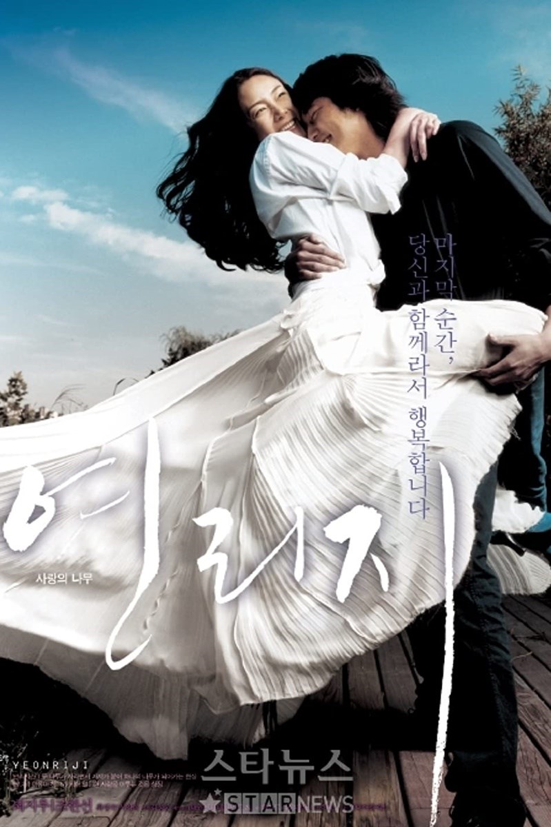 Poster Lá Thư Tình Poster Lá Thư Tình