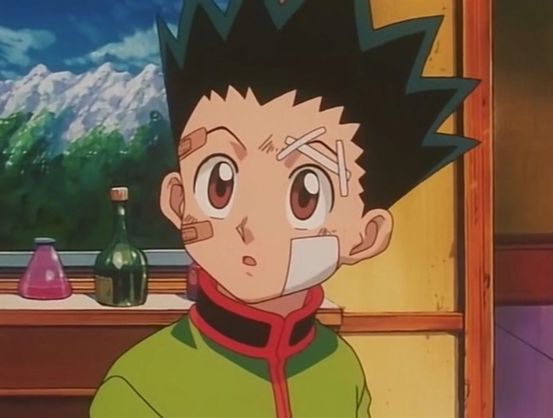 Gon Freecss Gon Freecss