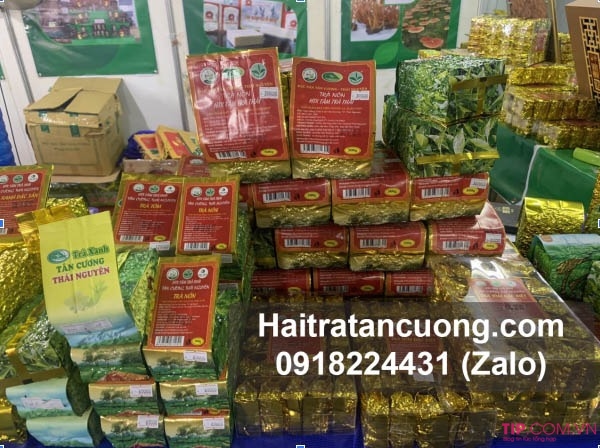 Trà Thái Nguyên loại nào ngon? Mua trà ở đâu ngon chuẩn vị?