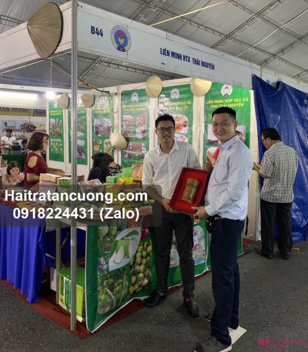 Trà Thái Nguyên loại nào ngon? Mua trà ở đâu ngon chuẩn vị?