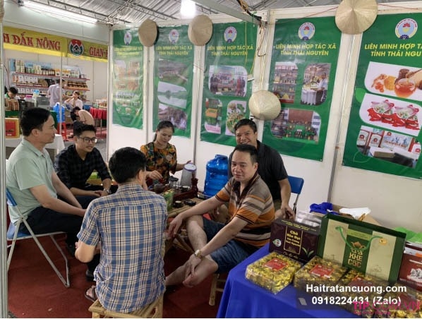 Trà Thái Nguyên loại nào ngon? Mua trà ở đâu ngon chuẩn vị?