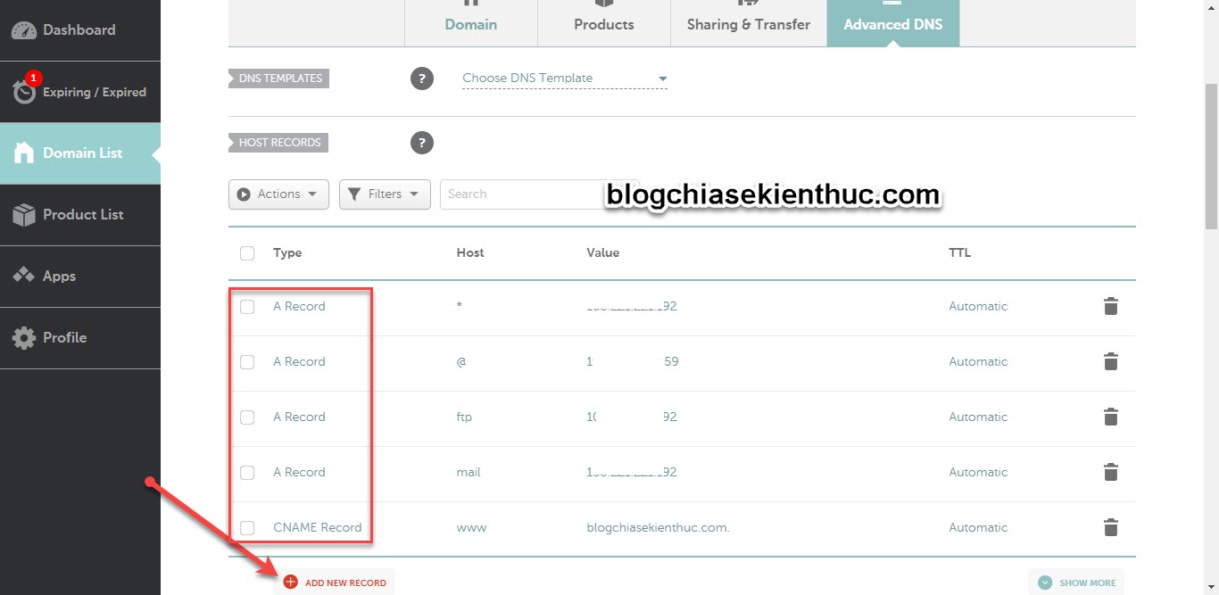 tro-ten-mien-ve-hosting-bang-dns- (3)