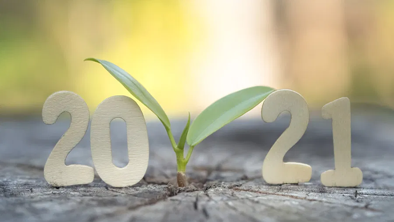 With 2021 fast approaching, we wish you both all the best and a very Happy New Year. May this year bring health, prosperity, and peace to us all? With 2021 fast approaching, we wish you both all the best and a very Happy New Year. May this year bring health, prosperity, and peace to us all?