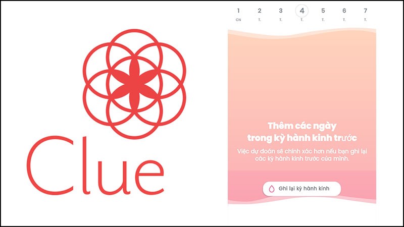 Clue - Period Tracker Clue - Period Tracker