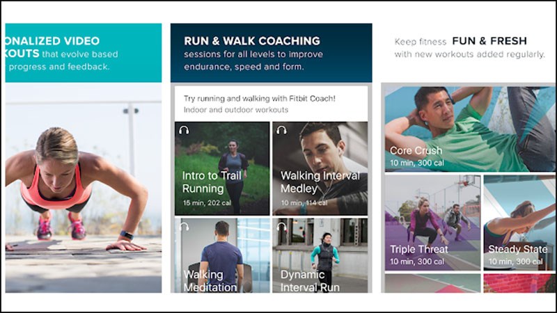 Fitbit Coach Fitbit Coach