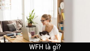 WFH là gì? Ưu, nhược điểm của làm việc tại nhà work from home