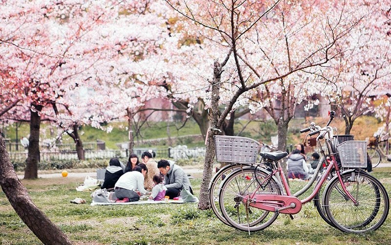 Biểu tượng cho thành viên mới của gia đình Biểu tượng cho thành viên mới của gia đình