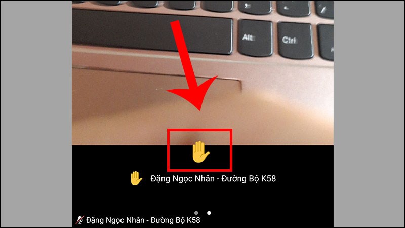 Biểu tượng giơ tay được hiện thị Biểu tượng giơ tay được hiện thị