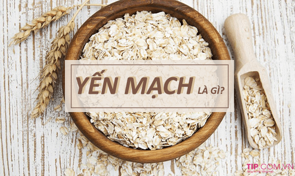 yen-mach-la-gi-1-1 Yến mạch là gì? Cách nấu cháo yến mạch giàu dinh dưỡng