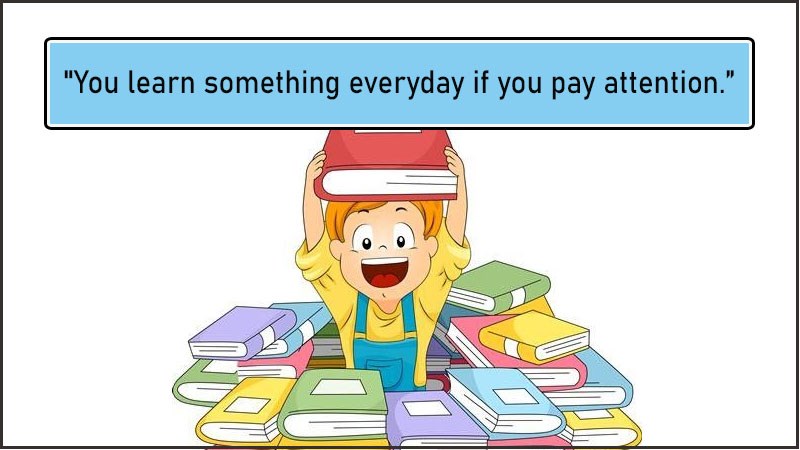 You learn something everyday if you pay attention. You learn something everyday if you pay attention.