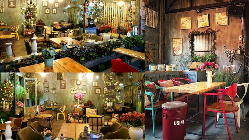 Jungle Cafe Jungle Cafe