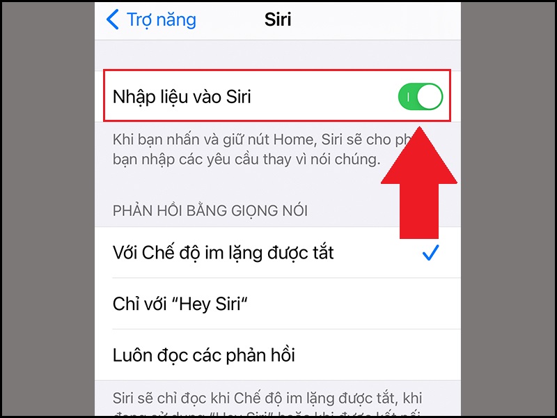 20-cau-hoi-bo-ich-tren-siri-macbook-11-800x600-1 Bật Nhập liệu vào Siri