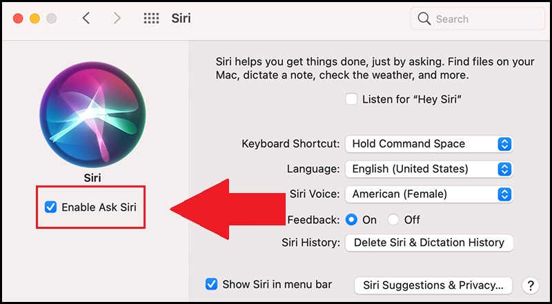 20-cau-hoi-bo-ich-tren-siri-macbook-16-800x441-1 Bật Siri