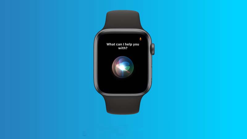 20-cau-hoi-bo-ich-tren-siri-macbook-6-800x450-1 Bật Siri trên Apple Watch