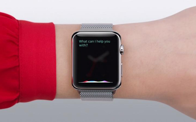 Bạn có thể yêu cầu Siri tra cứu mọi thứ