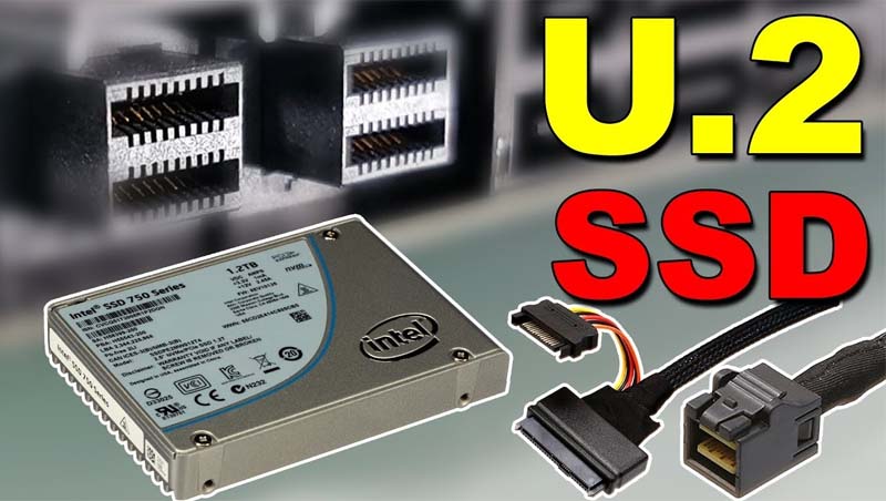 Ổ cứng SSD U.2