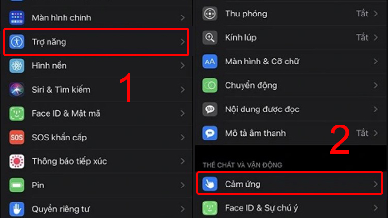 Chọn Cảm ứng