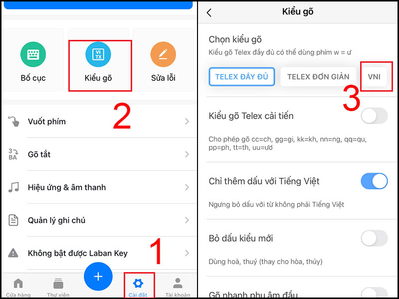 Tùy chọn kiểu VNI