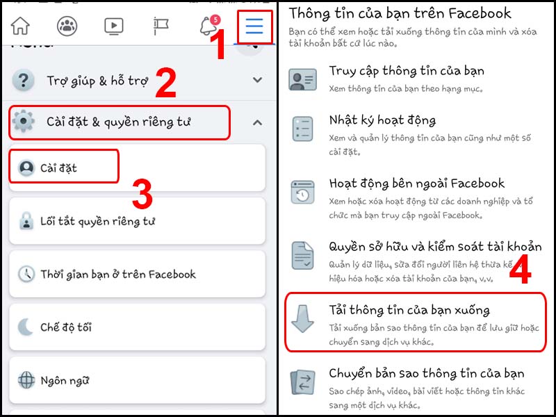 Vào phần Tải thông tin của bạn xuống